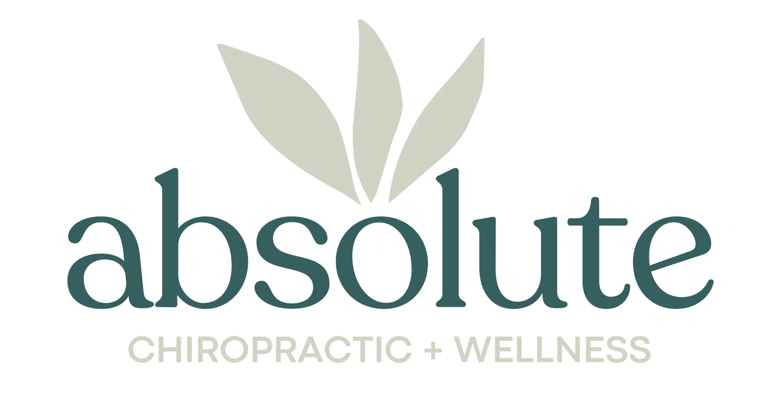 Absolute Chiropractic & Wellness