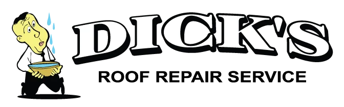 Dicks Logo Black Nophone